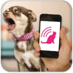 dog teaser android application logo